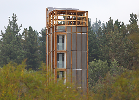 Edificio con estructura de madera que sobresale de la vegetación en un fondo de bosque 